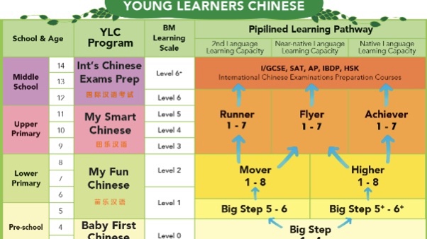 Learn Chinese: Top Trends and AOE-CHINESE.COM for an Exceptional Learning Experience